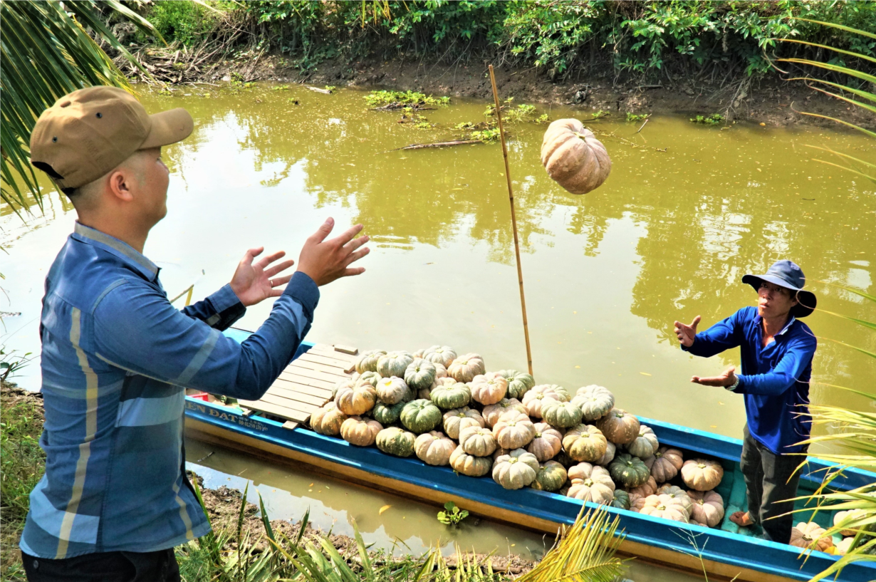 Thu nhập hàng trăm triệu nhờ trồng thêm bí dưới ruộng (19+20/03/2022)